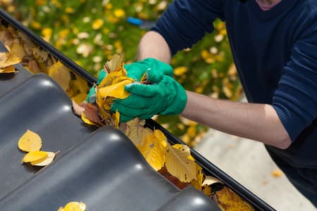 Gutter Cleaning Thumbnail